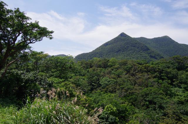 第80回 国民スポーツ大会 スポーツクライミング競技 沖縄県予選会